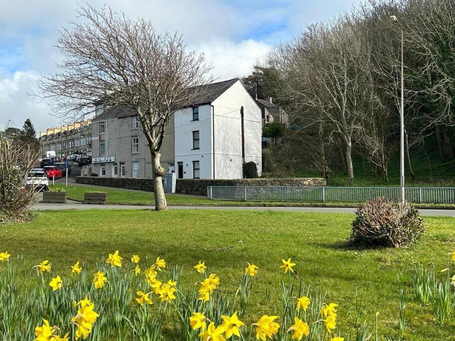 Caernarfon Modern Townhouse Snowdoniaヴィラ エクステリア 写真